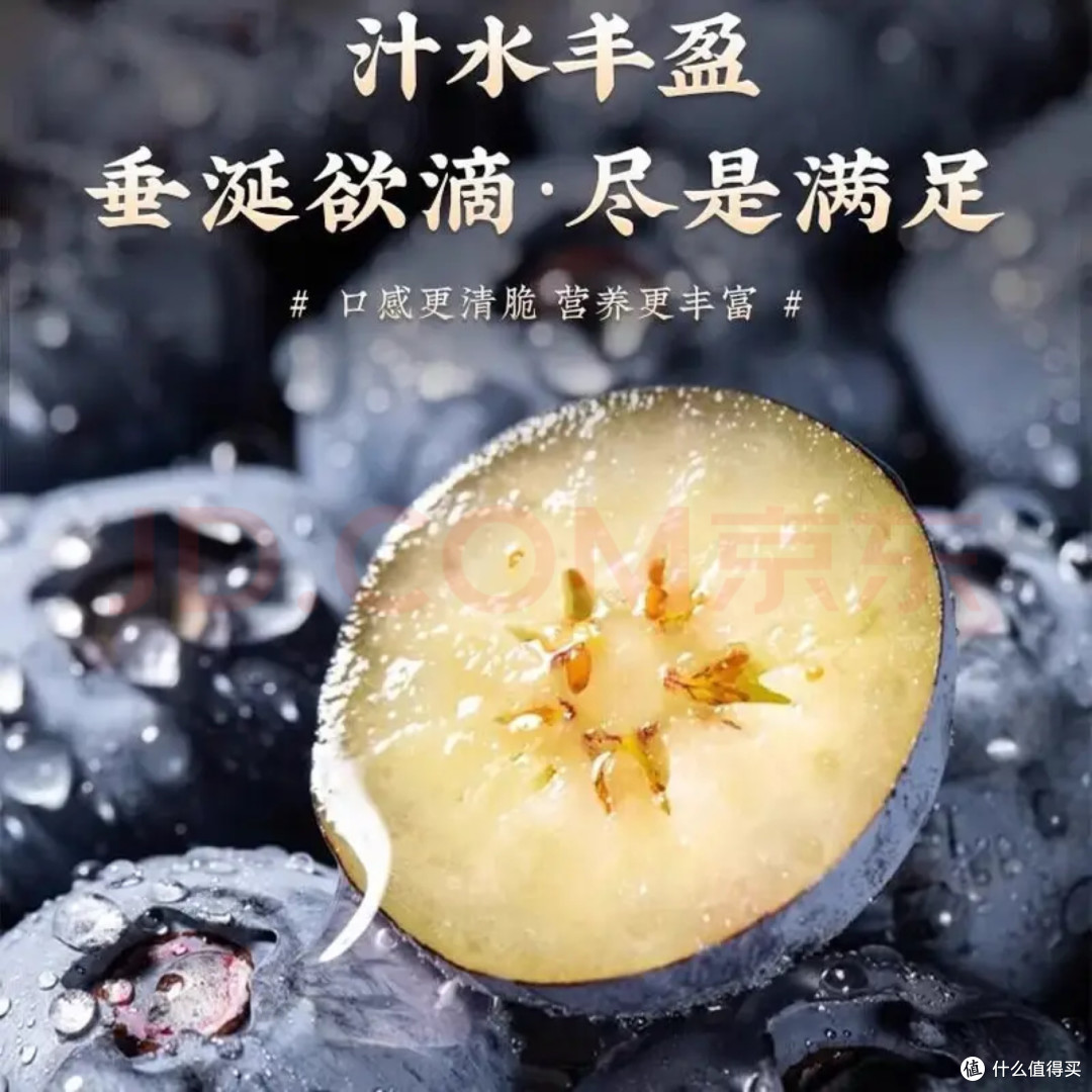 一口吃掉春天,春日尝鲜,京觅花香蓝莓一口爆汁