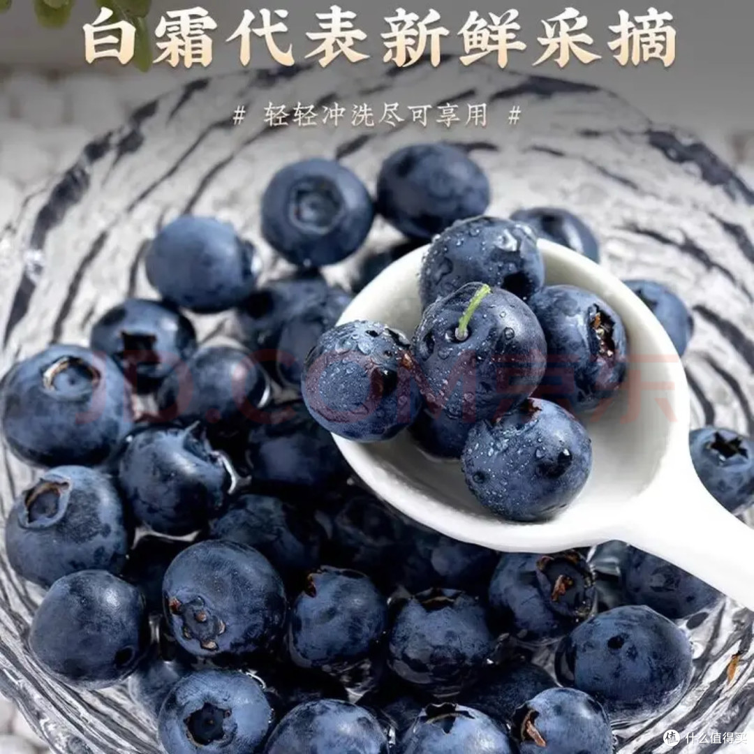 一口吃掉春天,春日尝鲜,京觅花香蓝莓一口爆汁