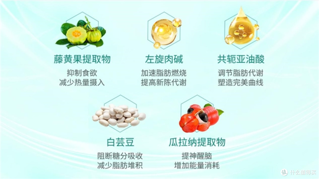 减肥产品哪个效果好?减肥十大品牌排行榜,减肥效果超稳定