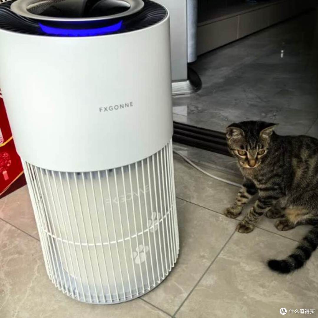 宫菱、小米、飞利浦宠物净化器好用吗？测评数据公开，闭眼入！