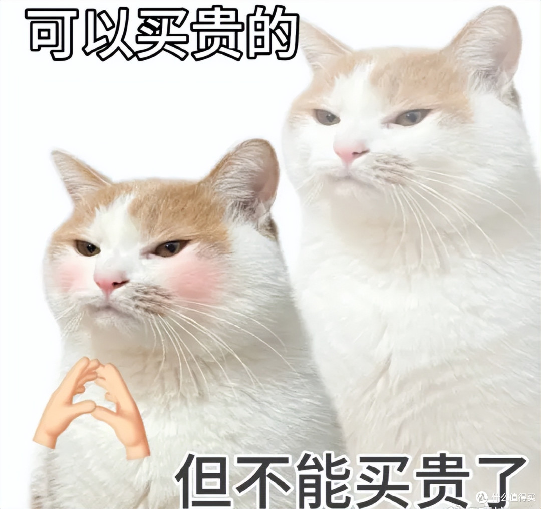 媳妇头脑发热买的AI互动机，儿子直接“上瘾”！价格还不便宜