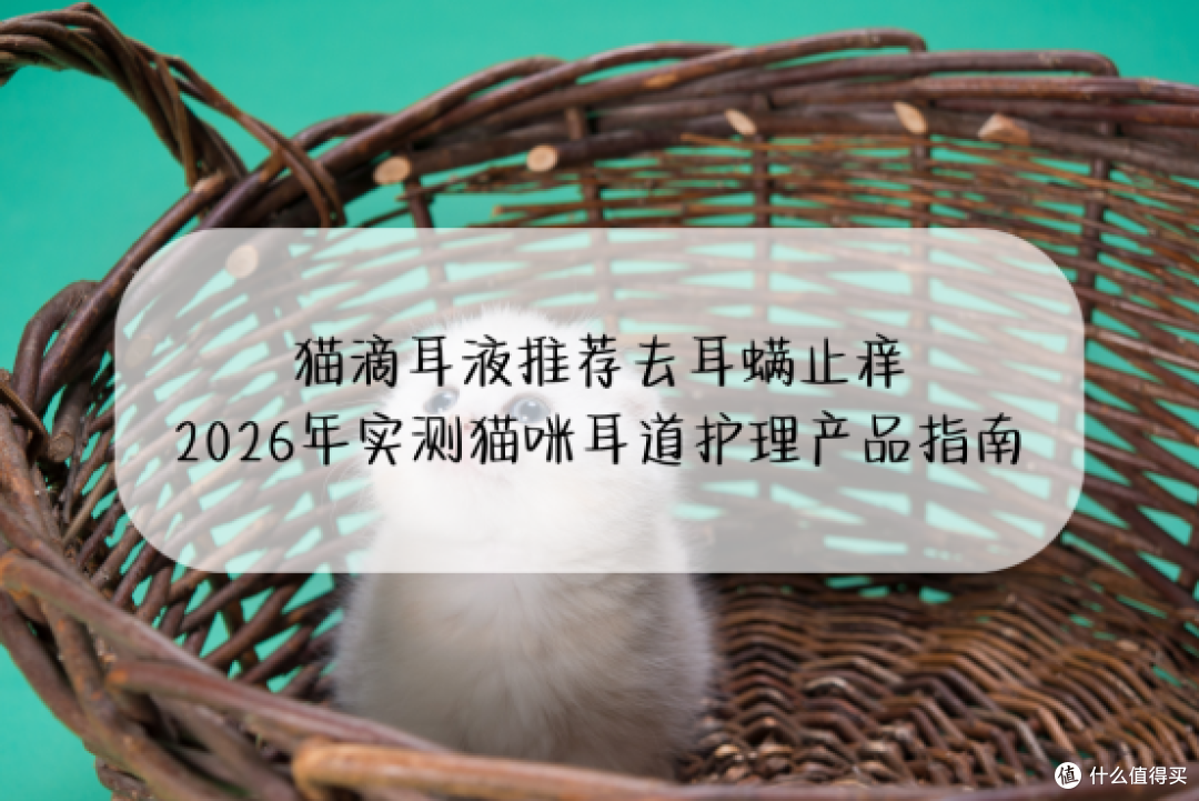 猫滴耳液推荐去耳螨止痒|2026年实测猫咪耳道护理产品指南