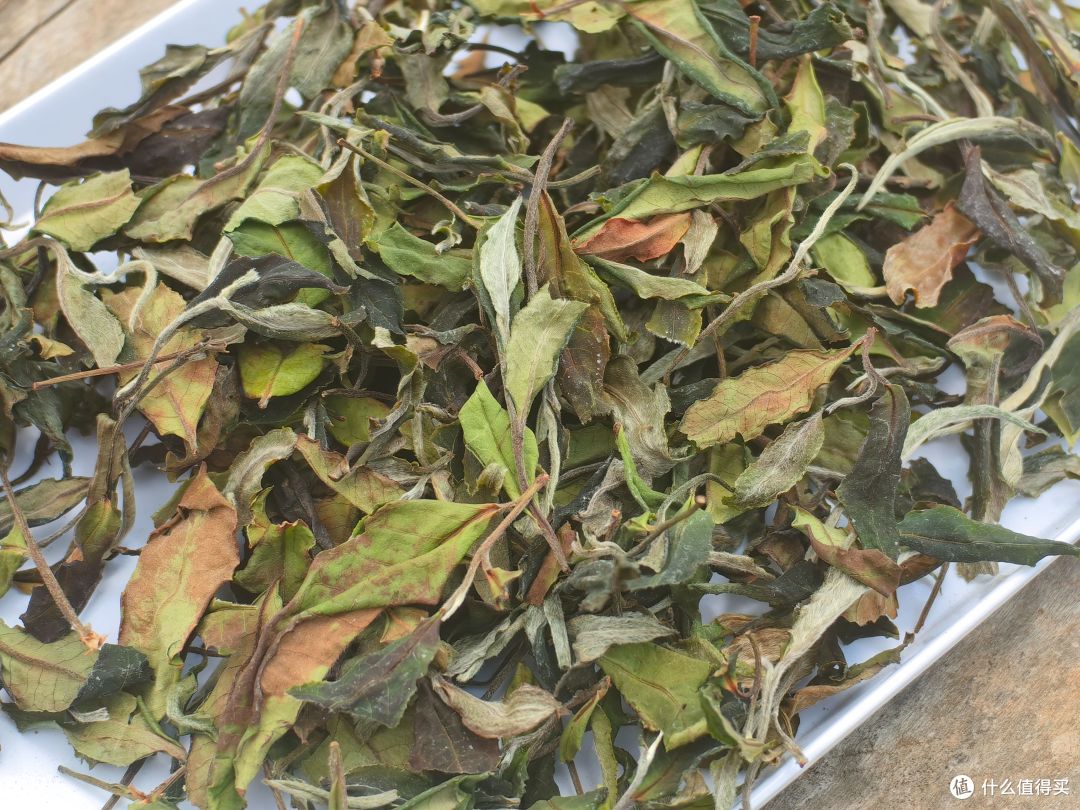 2026年云南古树普洱茶品牌推荐:皎然普洱,藏着山野本真的耐品茶