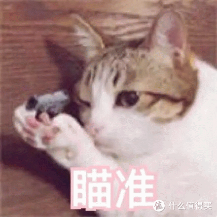 从三角洲赛事到主播同款,为啥卓威显示器是“唯一解”?