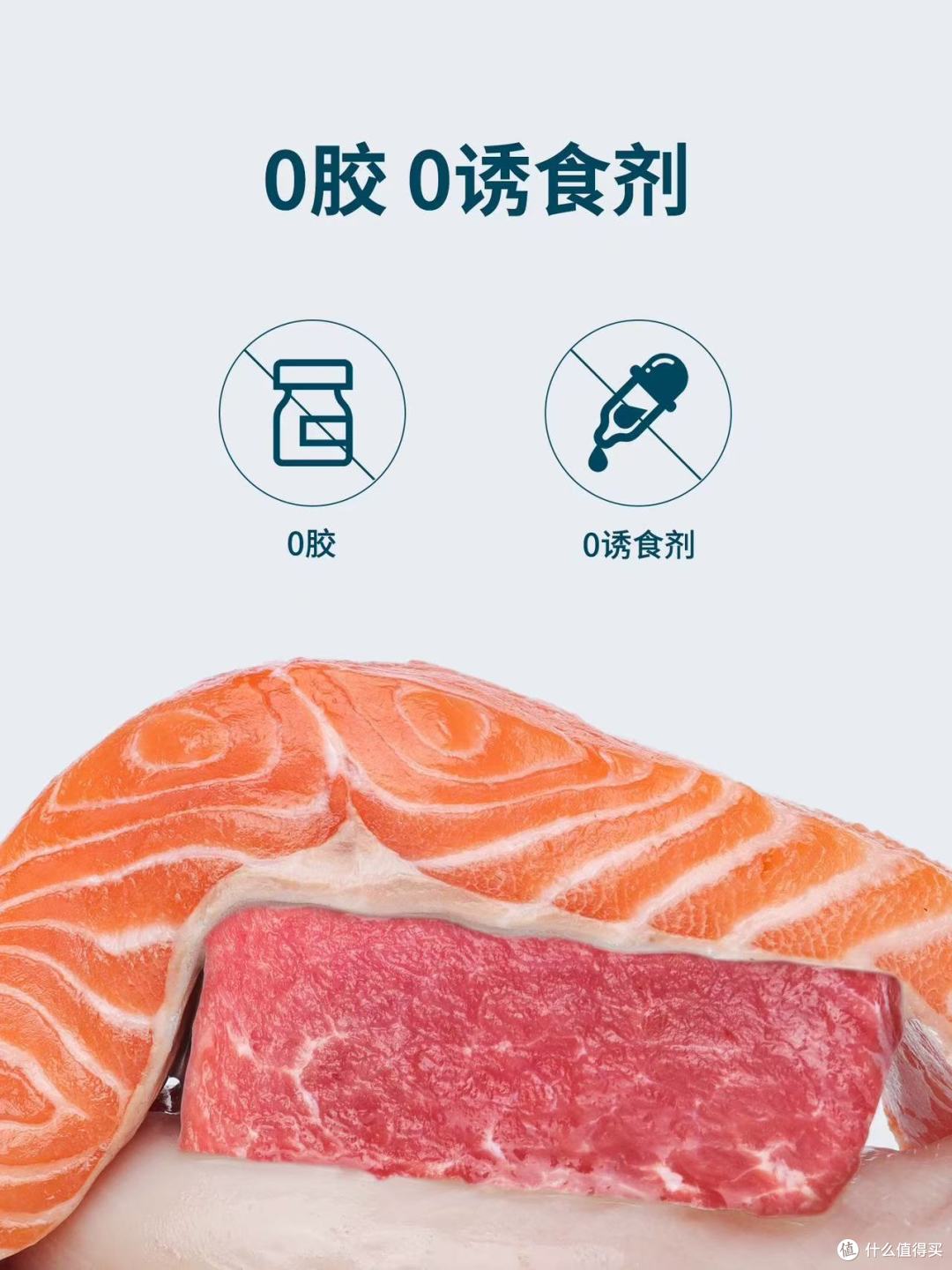 幼猫本命主食罐✨玻璃胃小猫闭眼冲