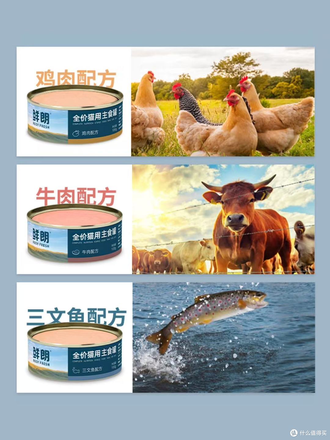 幼猫本命主食罐✨玻璃胃小猫闭眼冲