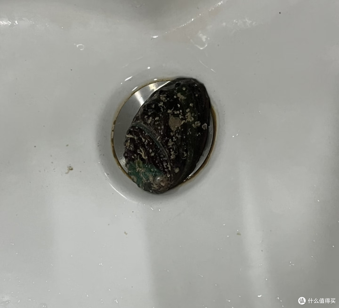 吃完的各种「壳」能干吗?天才们想出的妙用,给我看得下巴合不拢