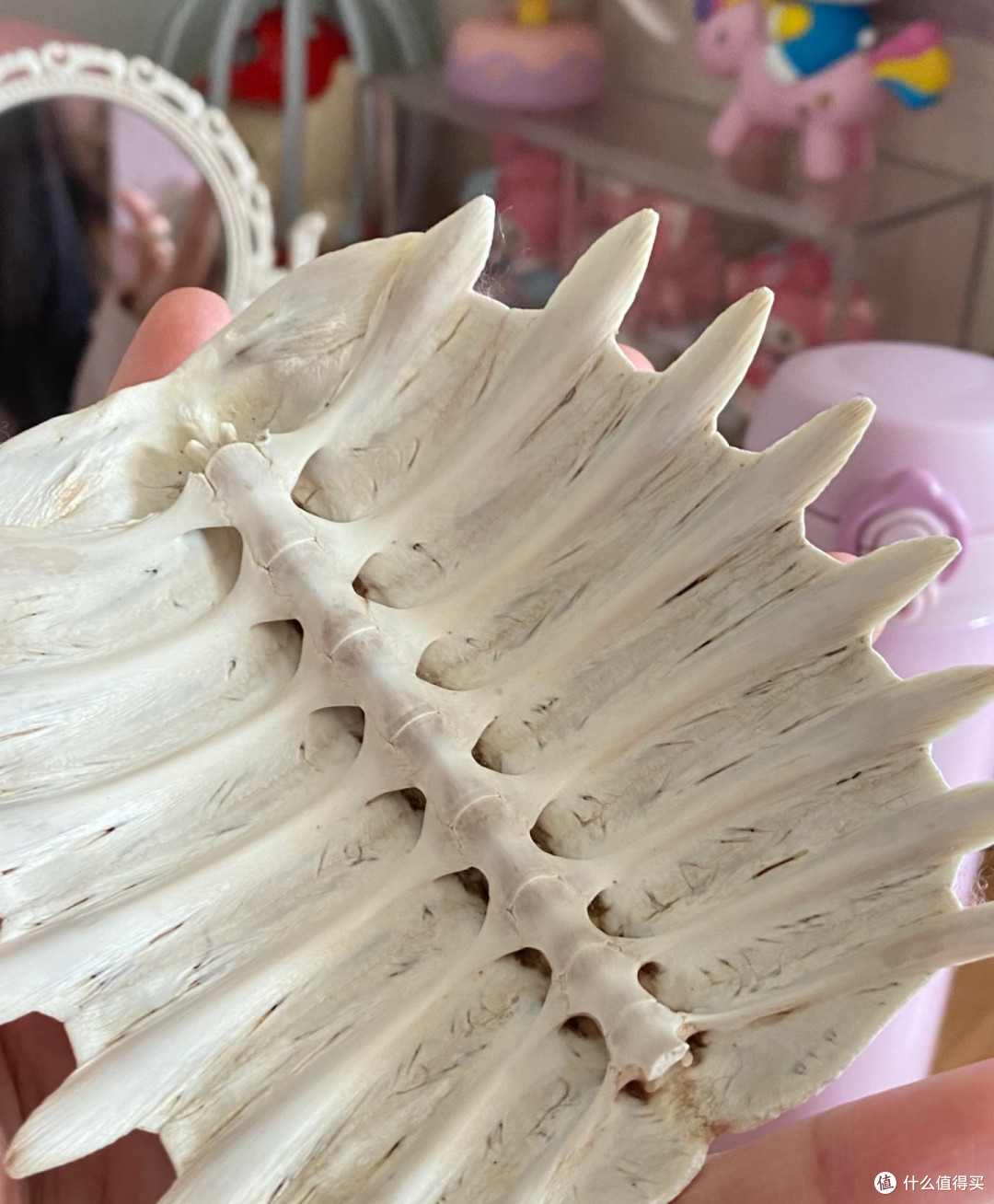 吃完的各种「壳」能干吗?天才们想出的妙用,给我看得下巴合不拢