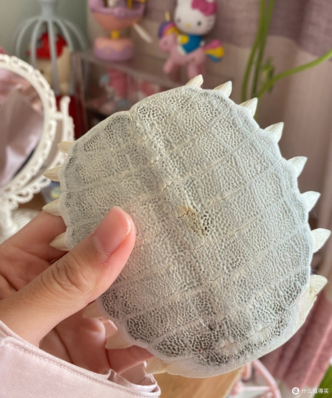 吃完的各种「壳」能干吗?天才们想出的妙用,给我看得下巴合不拢