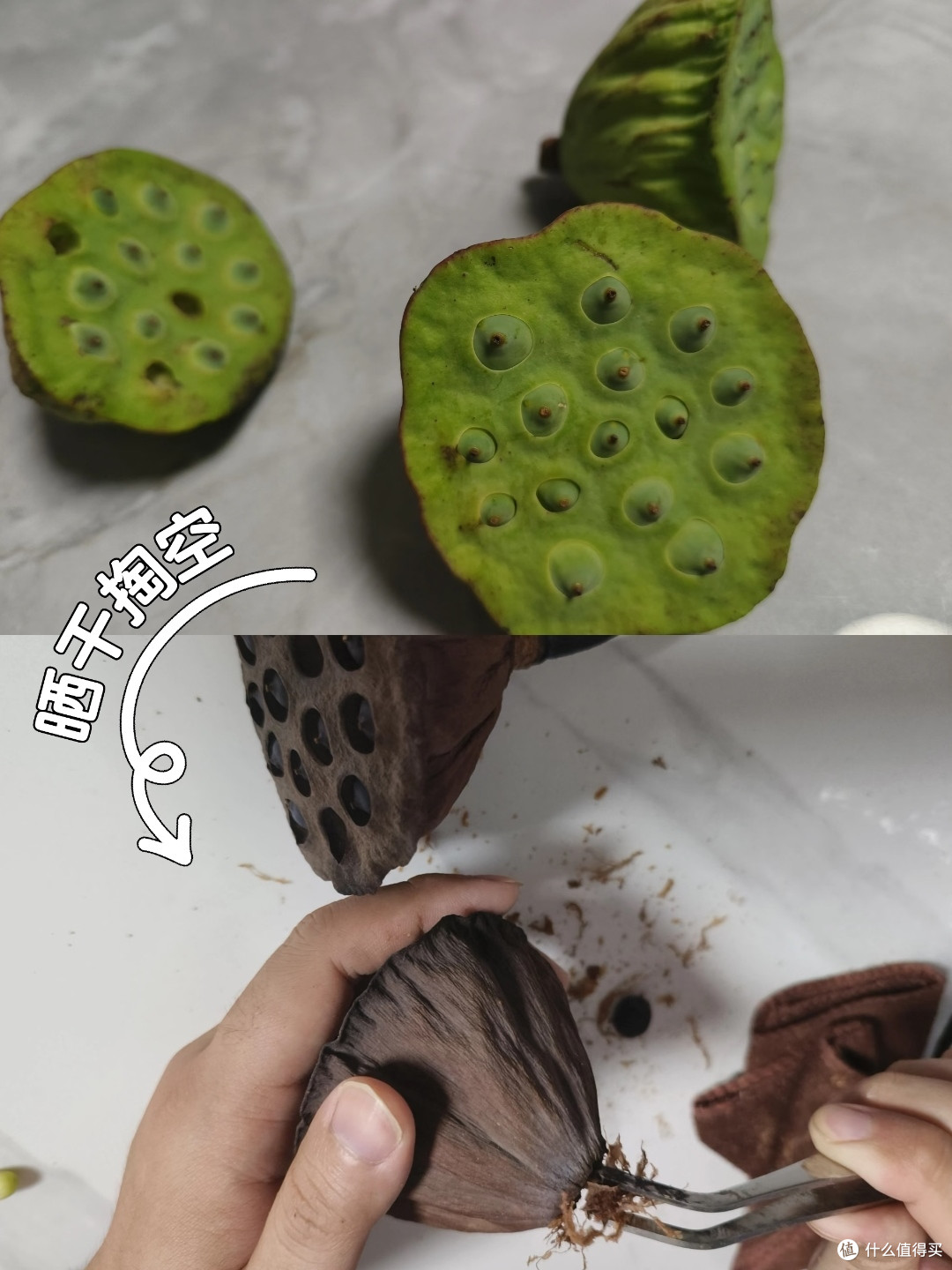 吃完的各种「壳」能干吗?天才们想出的妙用,给我看得下巴合不拢