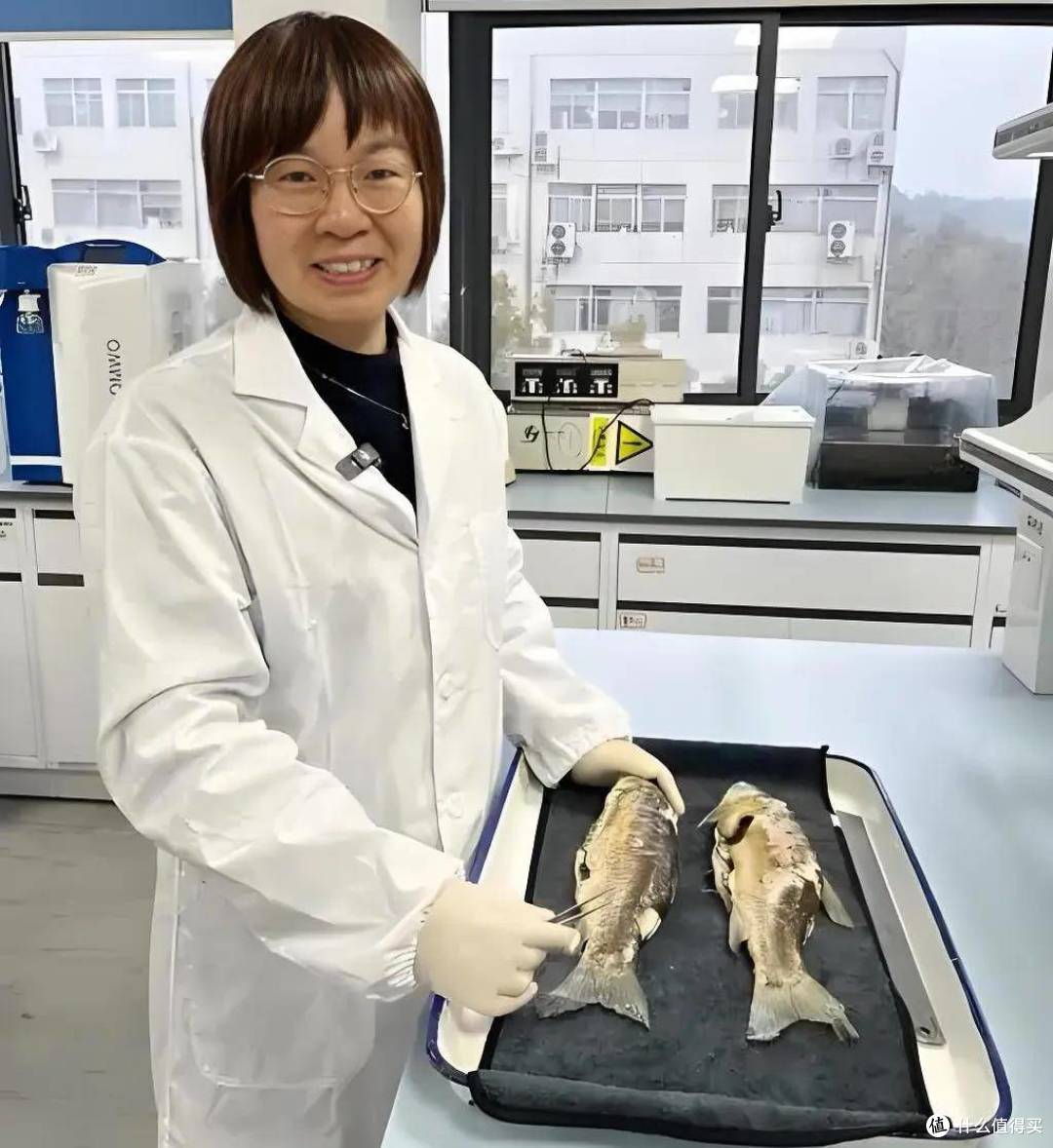 金针菇塞牙?科学家出手了,新品种脆度翻倍!网友表示:刚需~