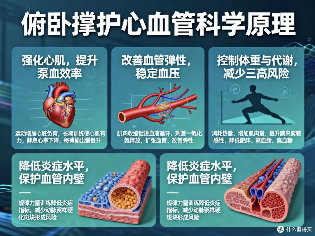 科学家证实：常做俯卧撑，能有效预防心血管疾病