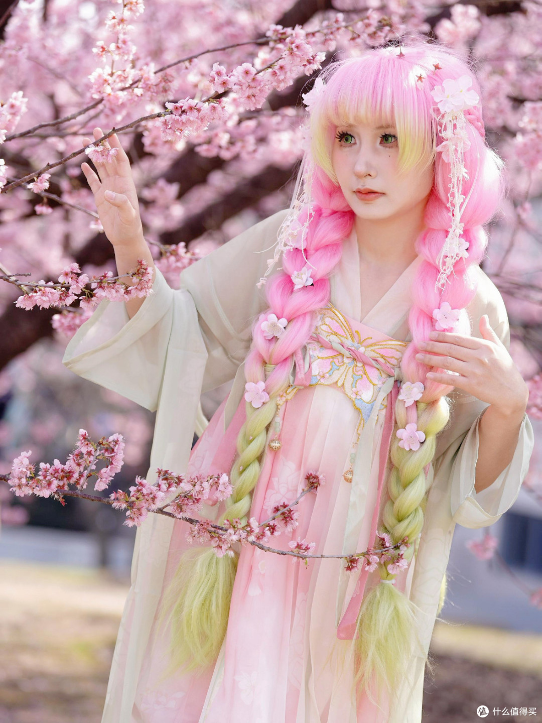 穿cos服扎樱花林，我的春日治愈是“二次元撞进现实”～