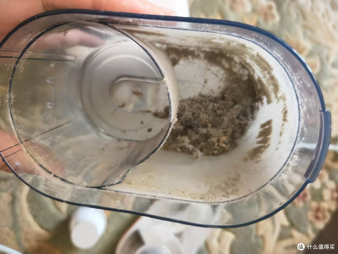 清理出的灰尘
