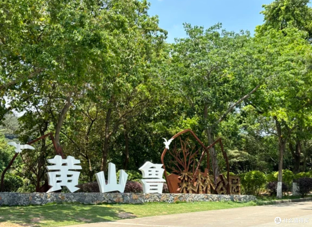 一个人，一副耳机，在黄山鲁遇见了春天