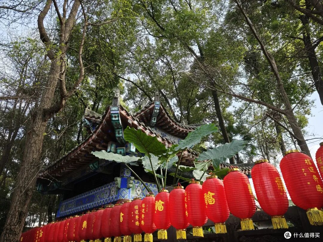 成都文殊院游玩攻略|免费入园,祈福打卡一站式指南!