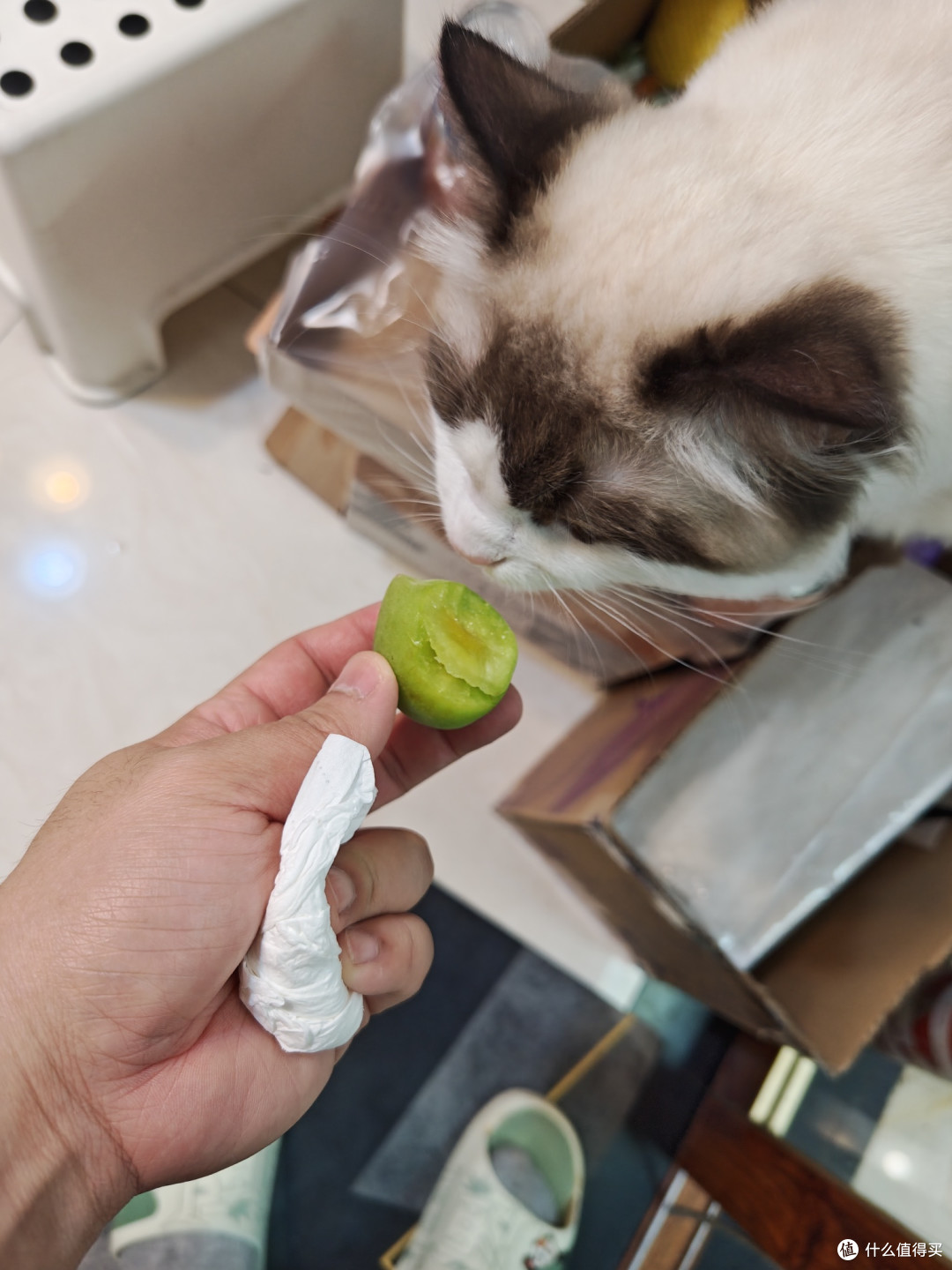 试了一下，彪哥不吃