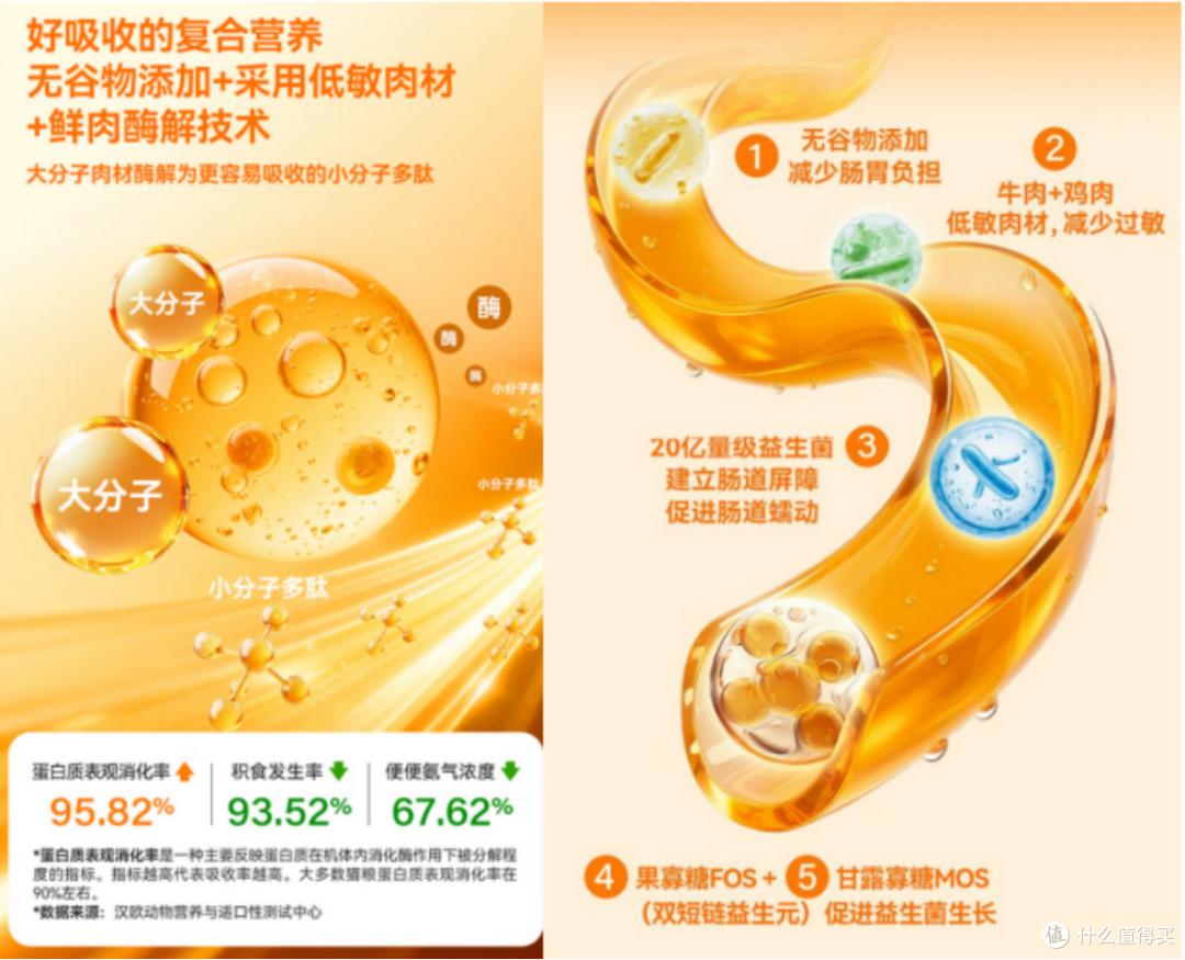 猫一天吃多少克猫粮更健康？2026年最科学的猫粮品牌实测推荐