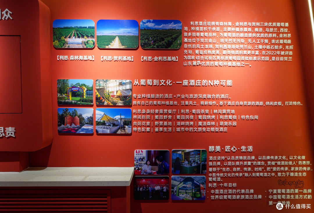 不愧一跃成为二级庄！100家中国酒庄巡礼！篇3️⃣：银川·利思酒庄
