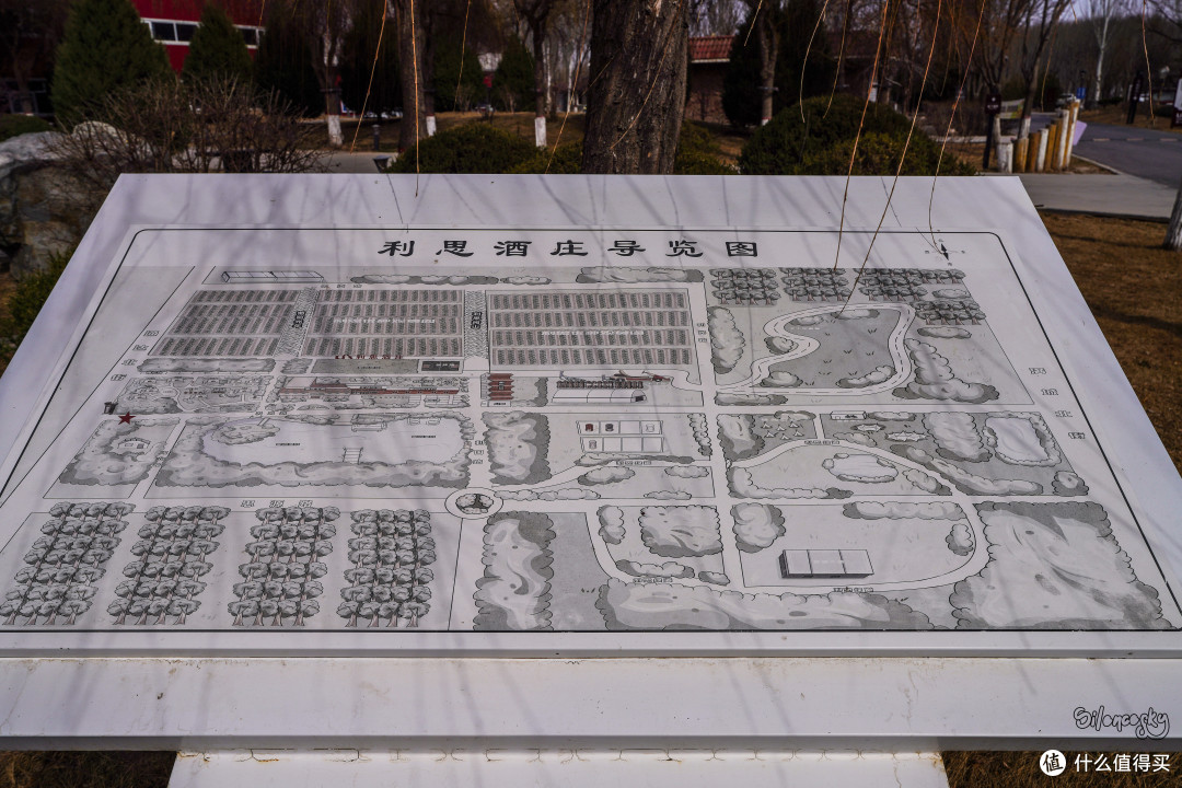 不愧一跃成为二级庄！100家中国酒庄巡礼！篇3️⃣：银川·利思酒庄