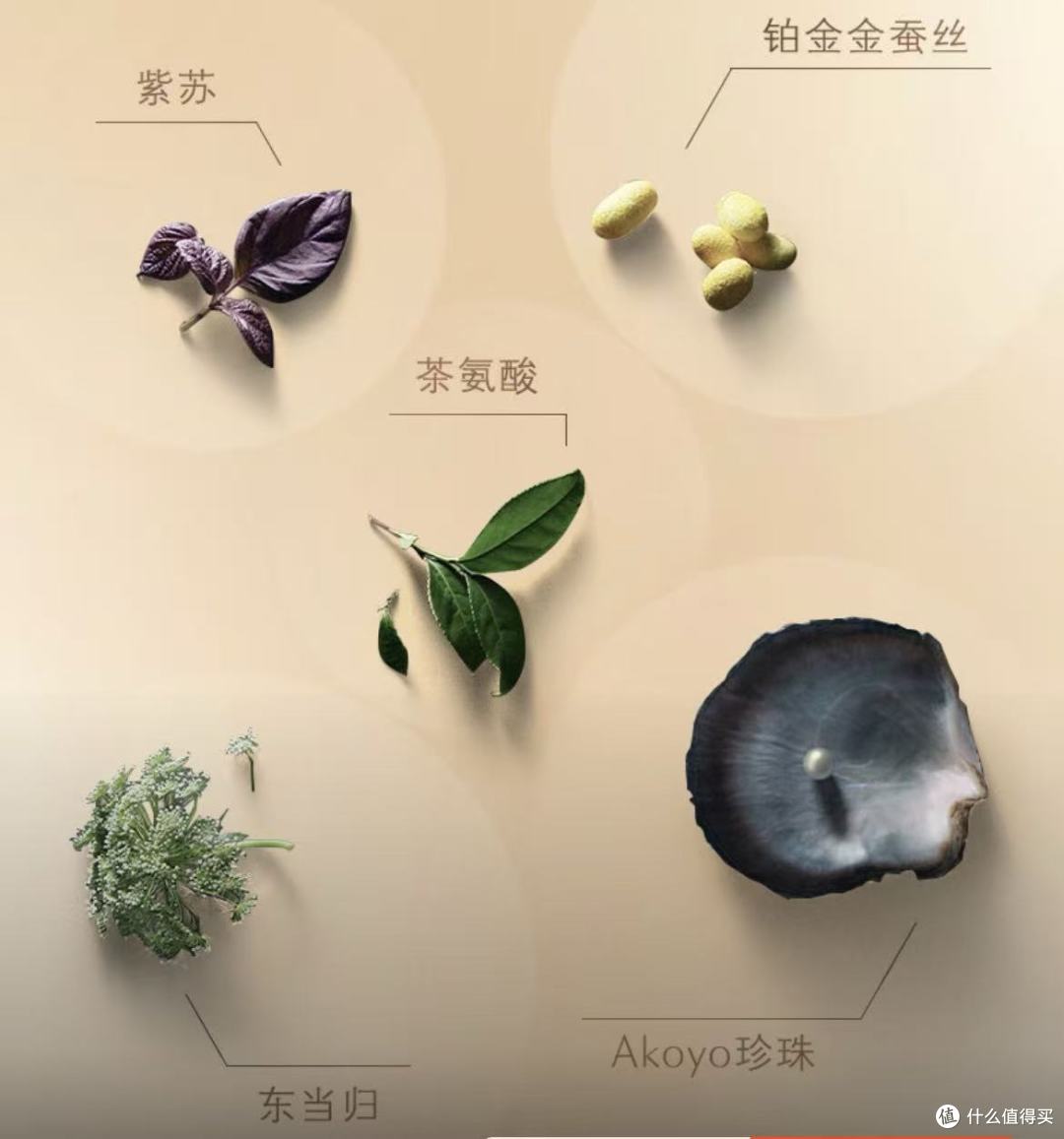 差旅人私藏的个护好物清单，赶路也能保持体面感！