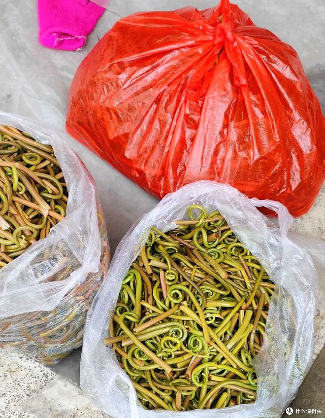 把春天吃进肚里，看看这些春菜，你家吃过吗？