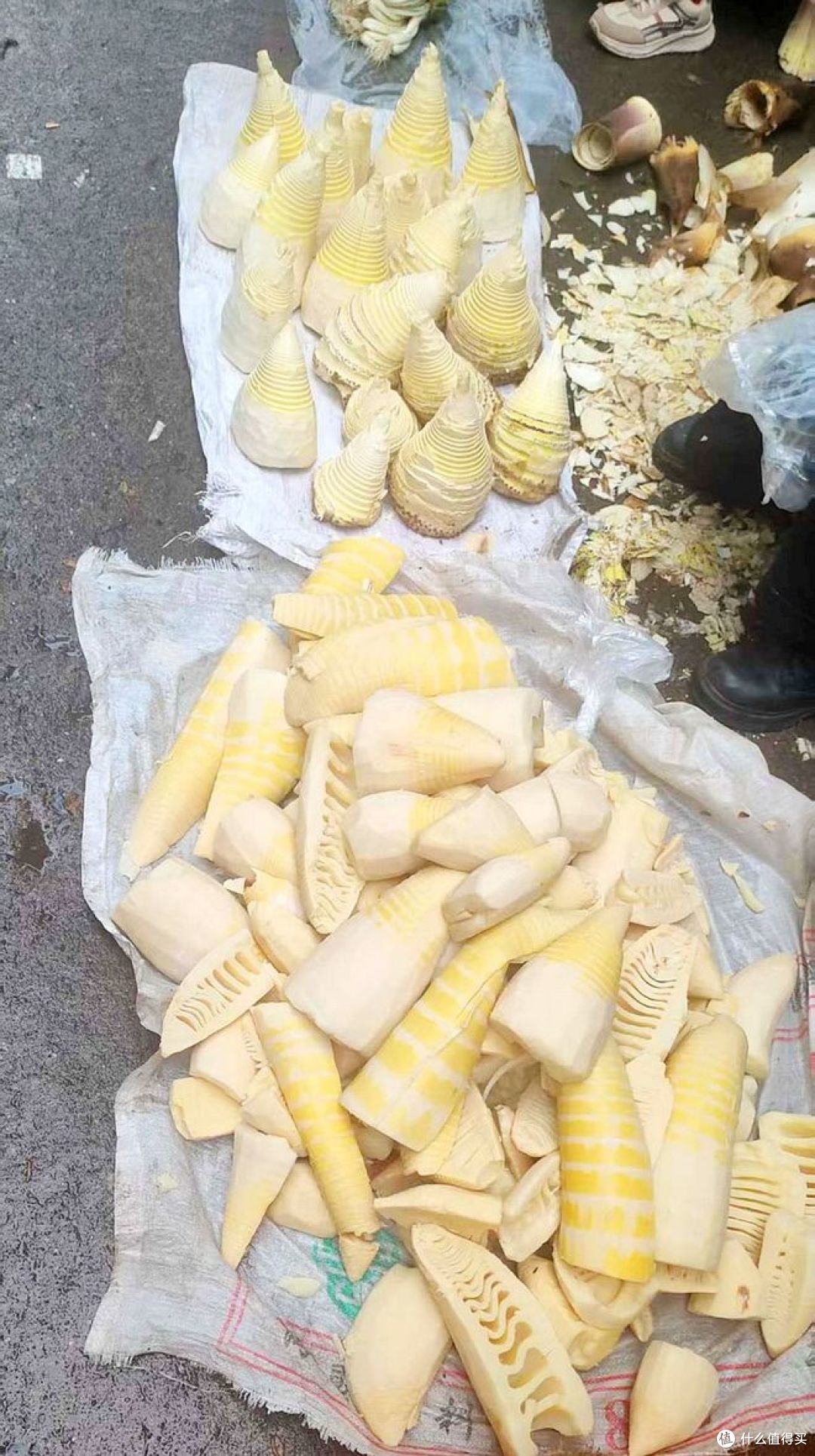 把春天吃进肚里，看看这些春菜，你家吃过吗？