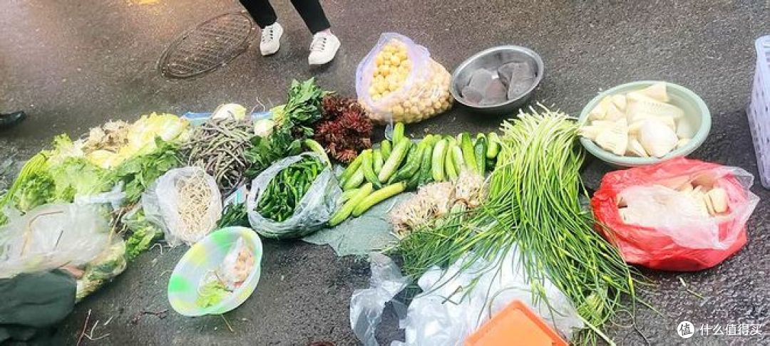 把春天吃进肚里，看看这些春菜，你家吃过吗？