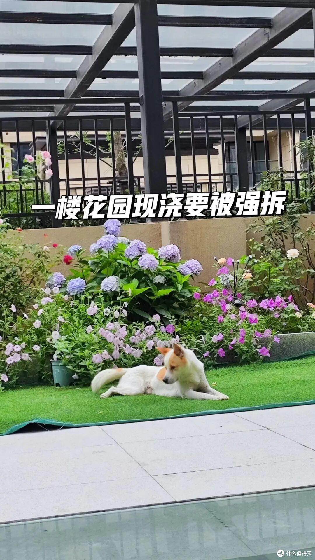不听劝,买了一楼带地下室和小院的房子,入住2年,只想降价出掉