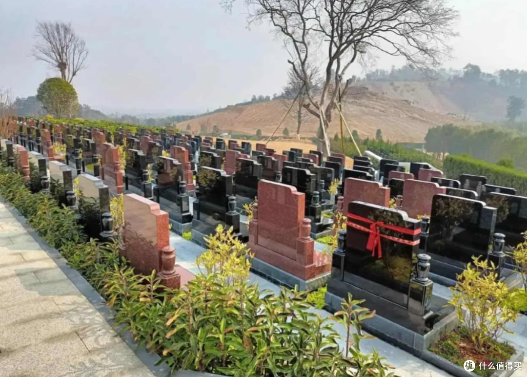 “全民火葬”成过去式,2026年殡葬新规来了,再也不用担心死不起