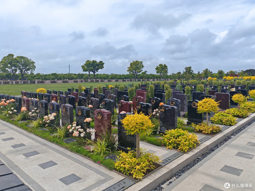 “全民火葬”成过去式,2026年殡葬新规来了,再也不用担心死不起