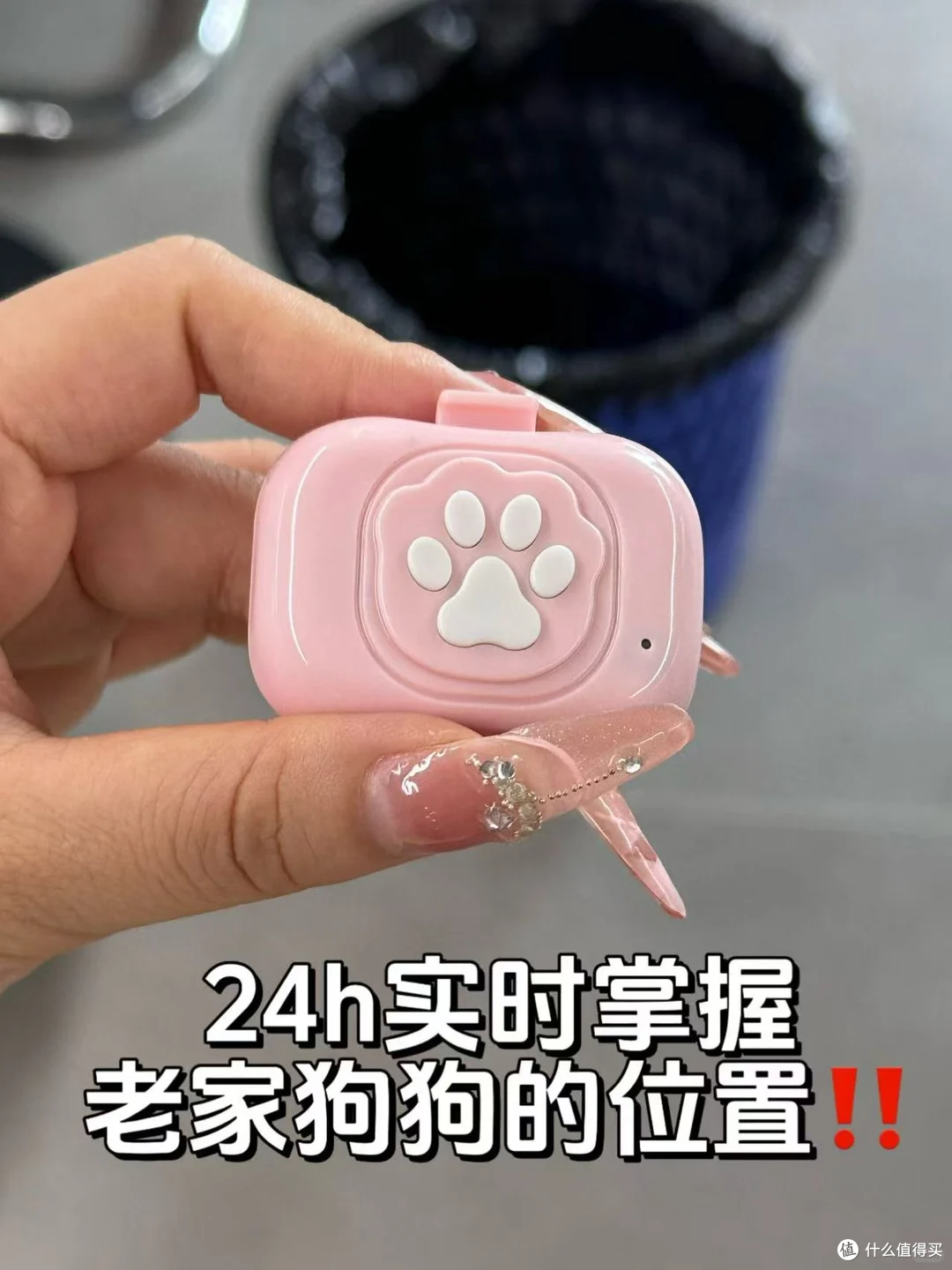 丢过一次狗才懂，这钱不能省！