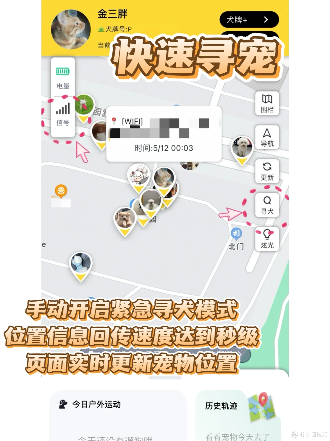 丢过一次狗才懂，这钱不能省！