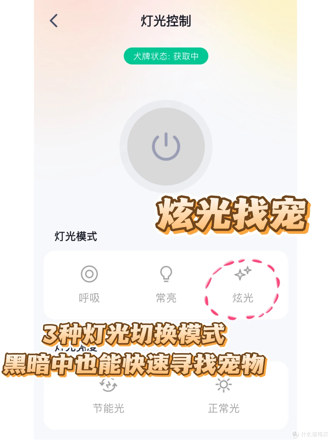 丢过一次狗才懂，这钱不能省！