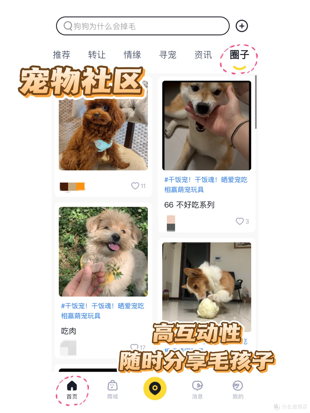 丢过一次狗才懂，这钱不能省！