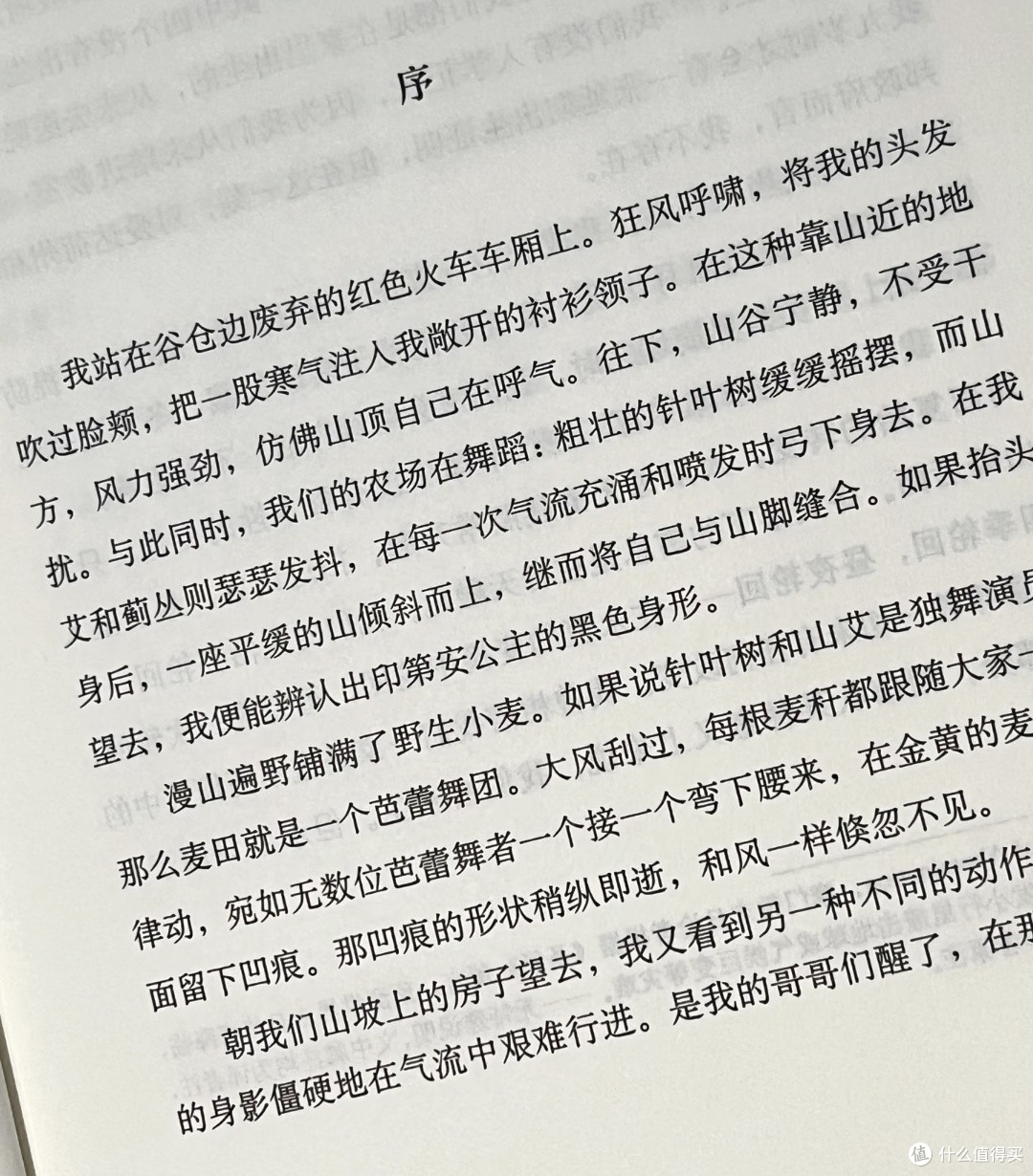 废墟中展翅，奔赴属于自己的山——《你当像鸟飞往你的山》读后感