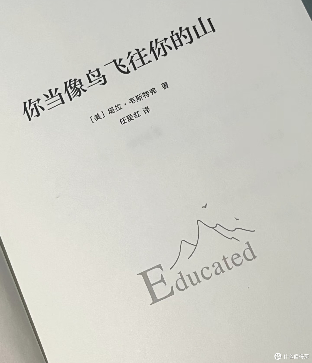 废墟中展翅,奔赴属于自己的山——《你当像鸟飞往你的山》读后感