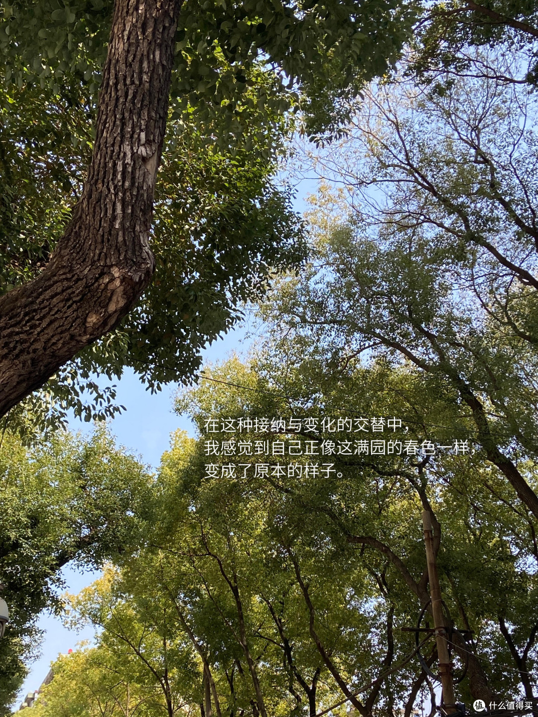 读书打卡三百天:从浮躁到沉淀