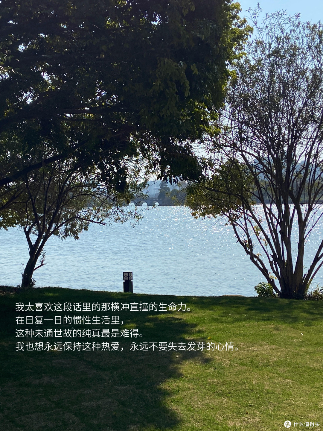 读书打卡三百天:从浮躁到沉淀