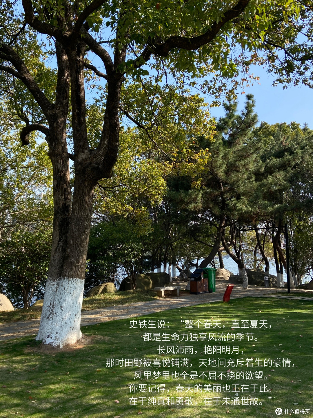 读书打卡三百天:从浮躁到沉淀