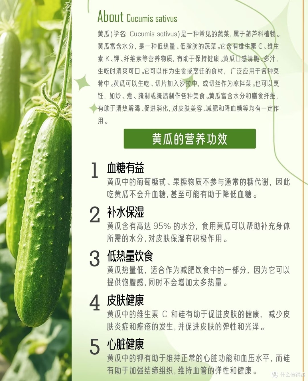 营养师说真话:黄瓜这样吃,等于白吃!
