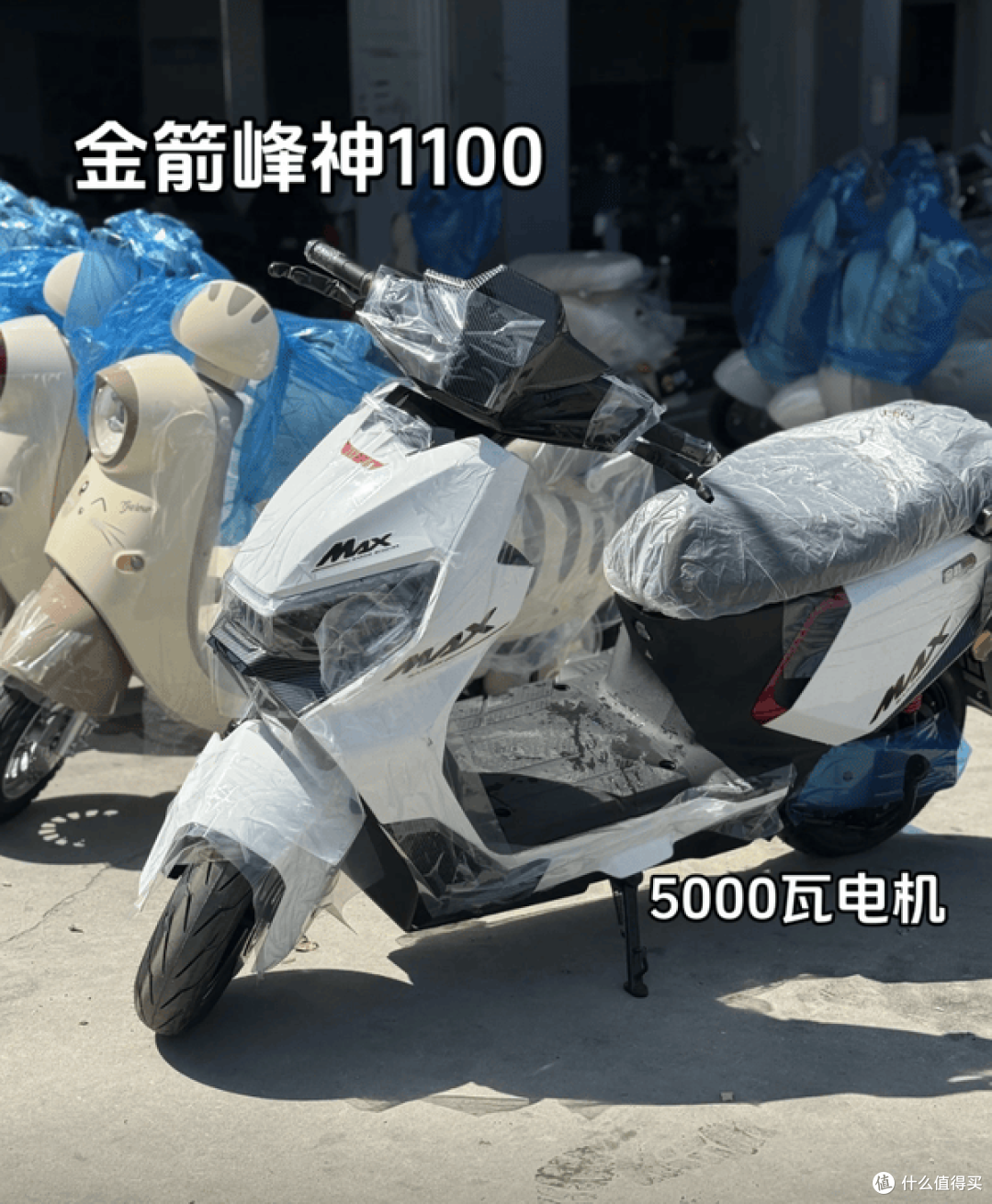 1万预算最强电摩来了!九号、雅迪、金箭、锋鸟谁更狠?