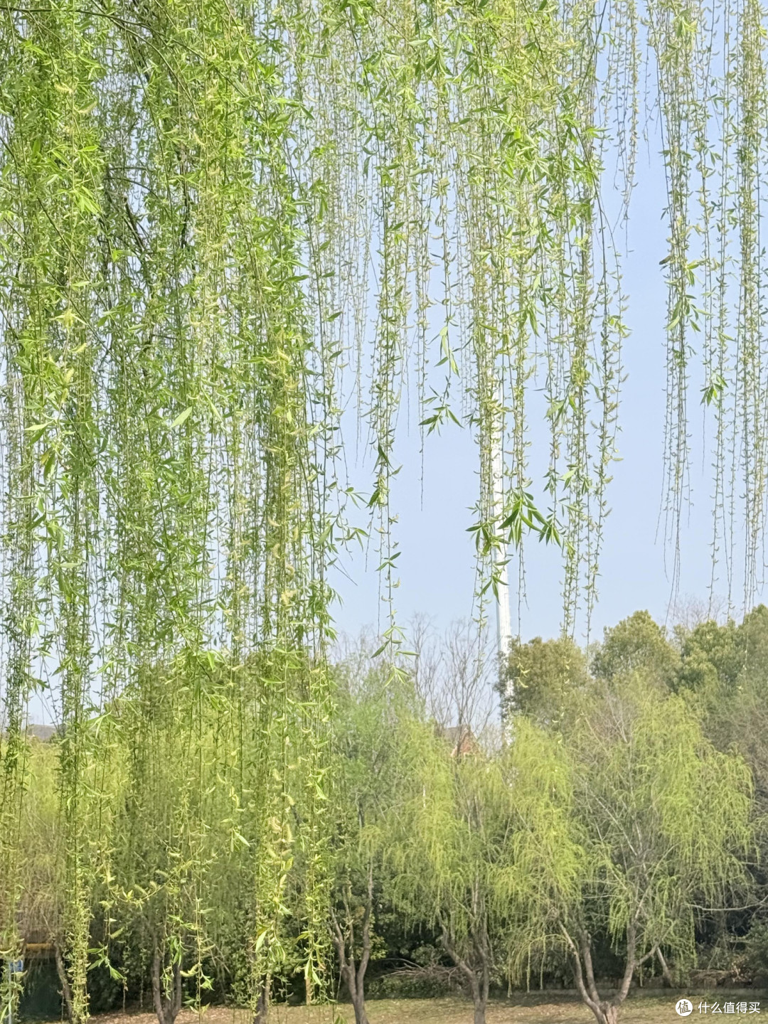 三十而立,提前规划养老