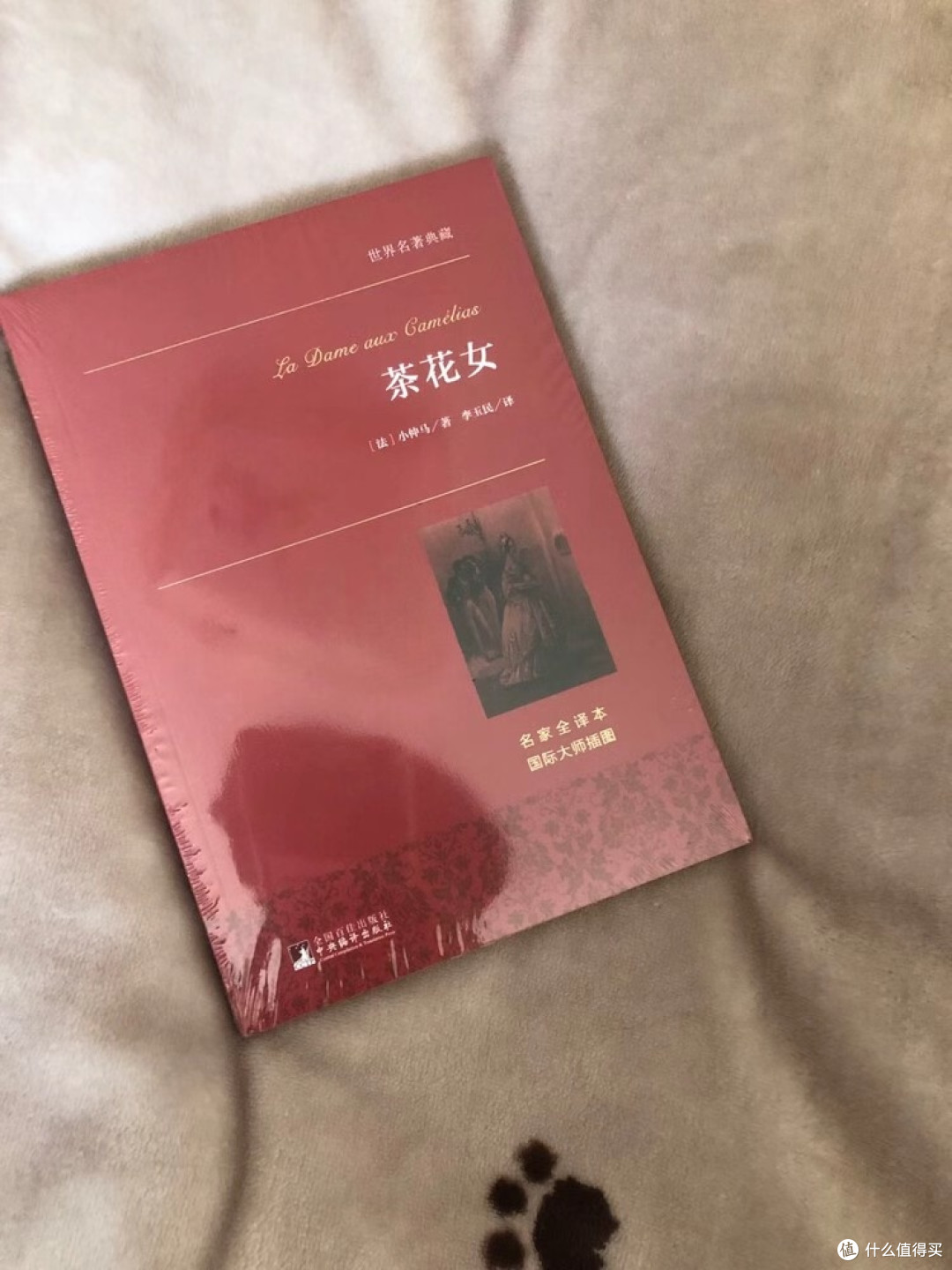 《茶花女》典藏版：复古质感与译本魅力