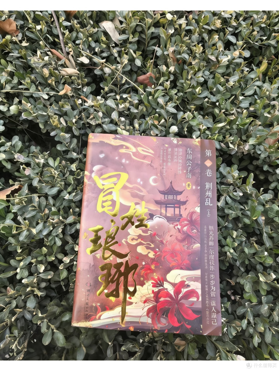 《冒姓琅琊》原著,比短剧上头100倍