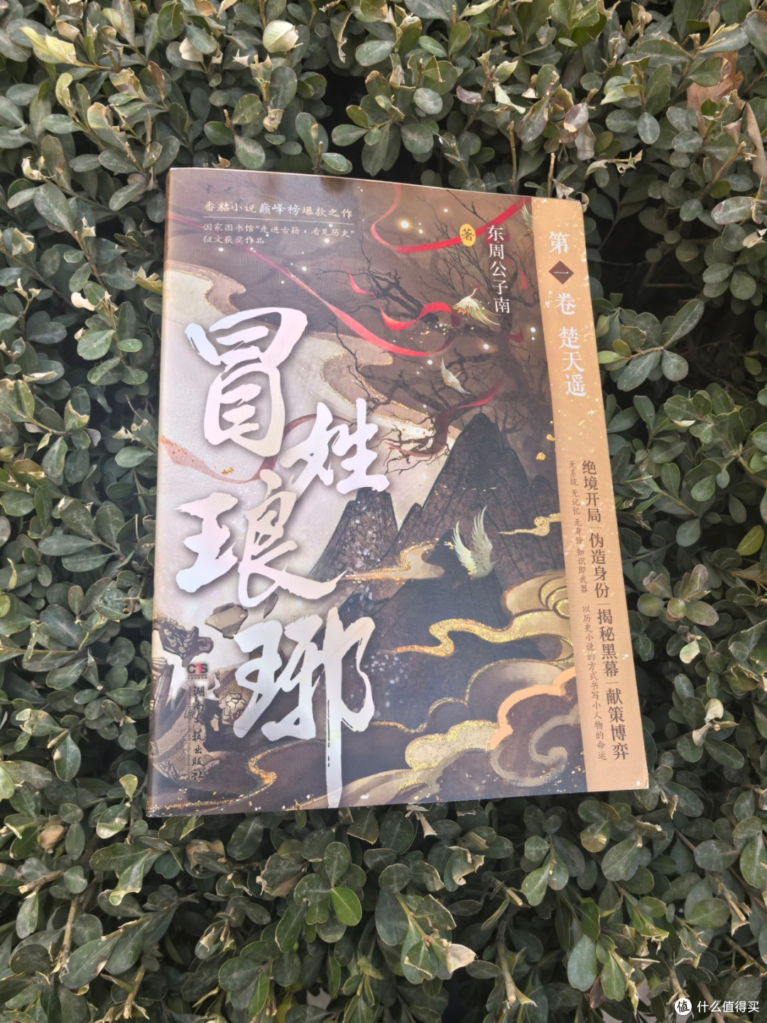 《冒姓琅琊》原著,比短剧上头100倍