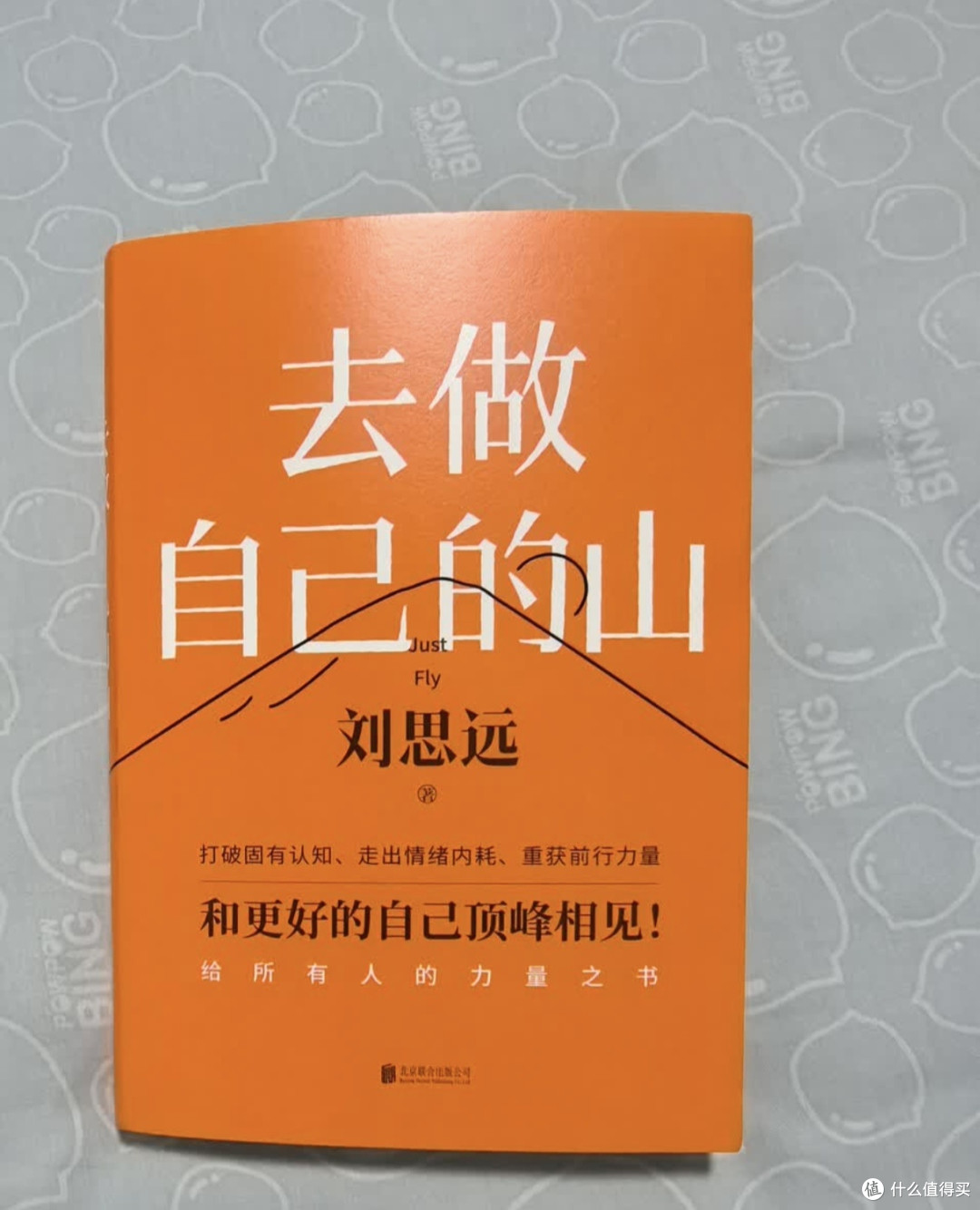 读《去做自己的山》:翻越自我,活出有底气的人生