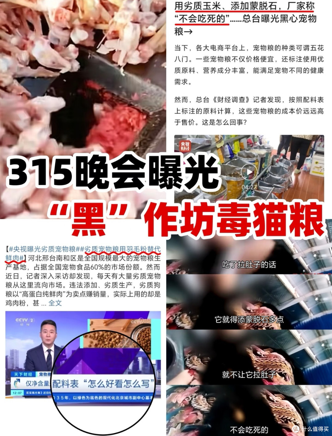 315打假：伪劣猫粮危害宠物健康