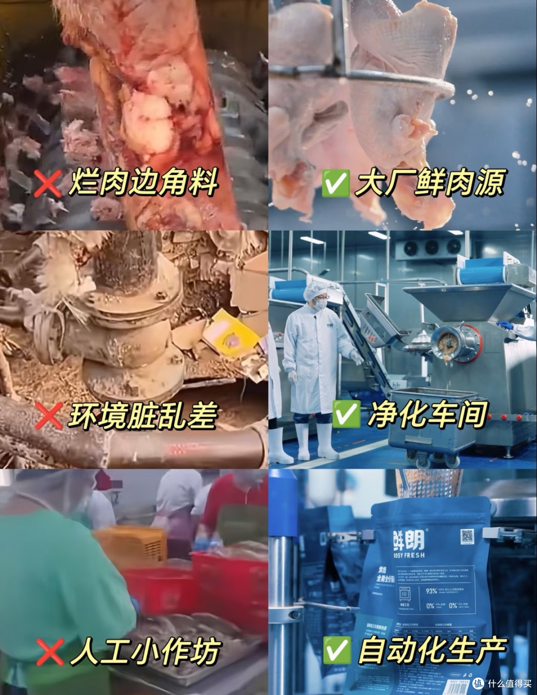 315打假：伪劣猫粮危害宠物健康
