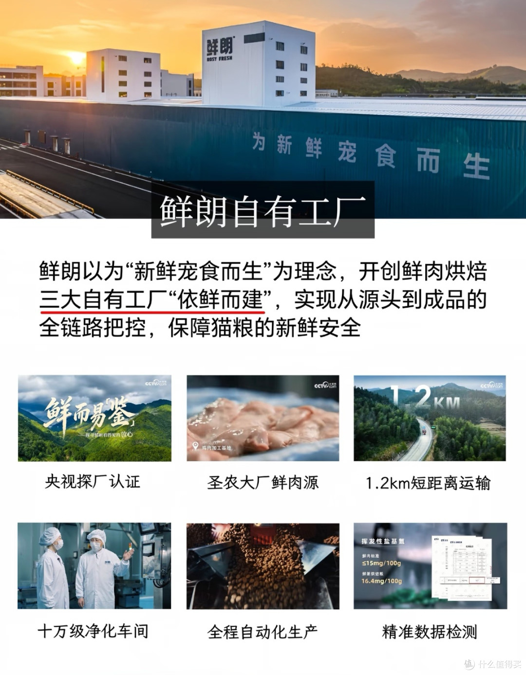 315打假：伪劣猫粮危害宠物健康
